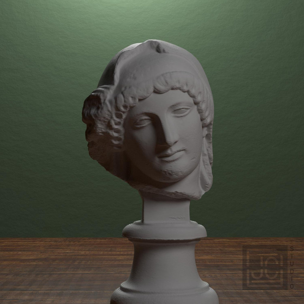 Head of the Mourning Penelope supplemental reference photo 1