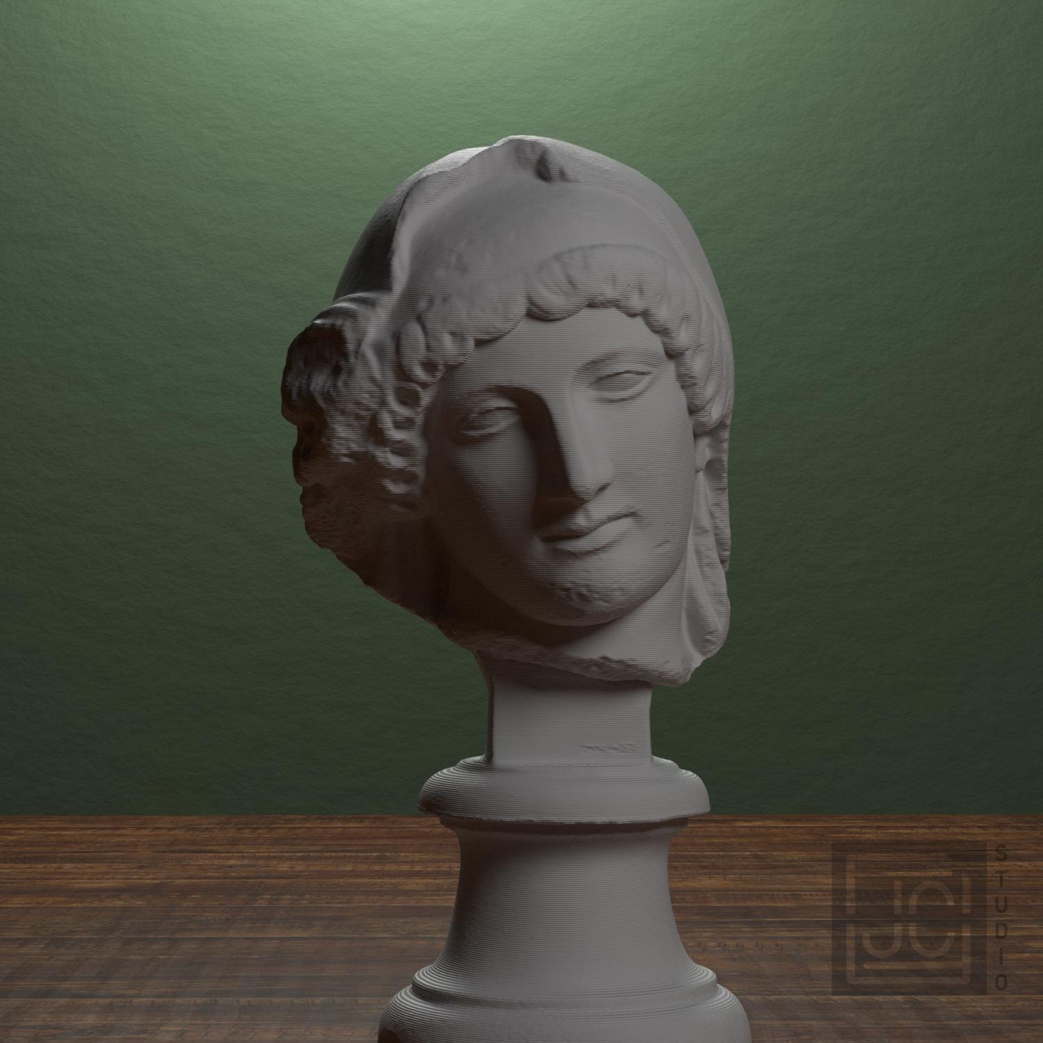 Head of the Mourning Penelope supplemental reference photo 1