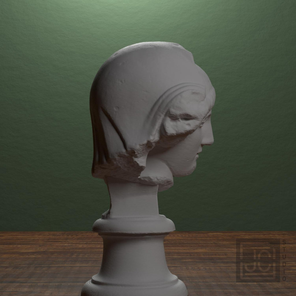 Head of the Mourning Penelope supplemental reference photo 2