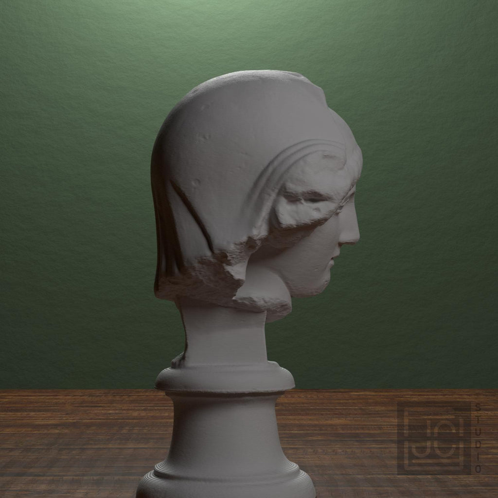 Head of the Mourning Penelope supplemental reference photo 2