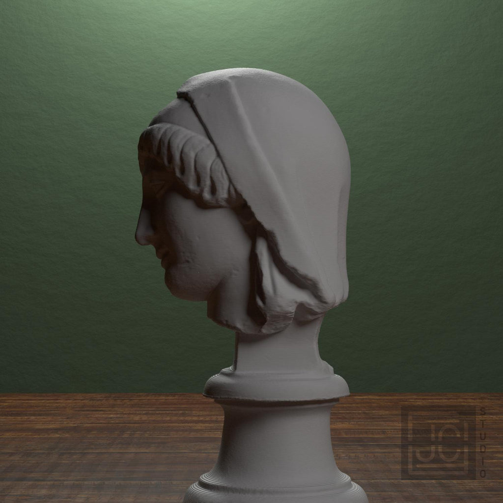 Head of the Mourning Penelope supplemental reference photo 4
