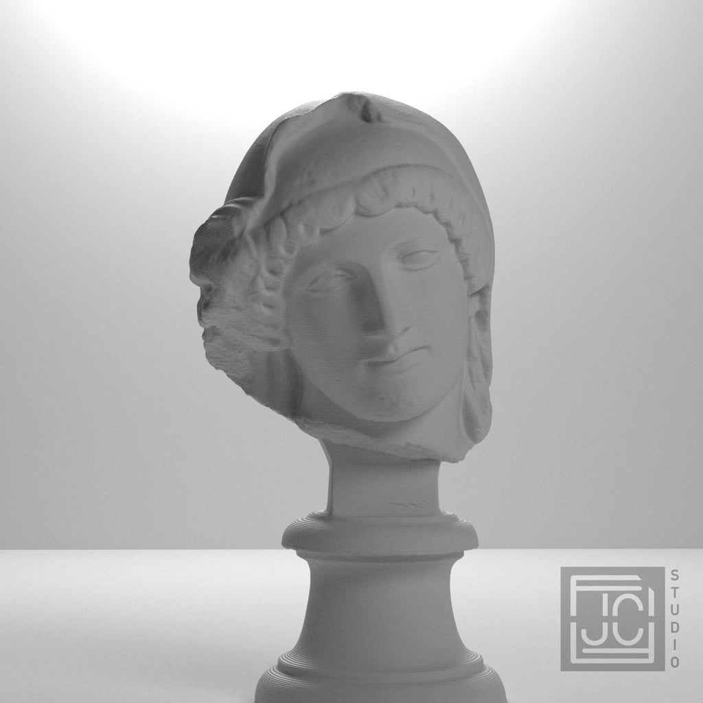 Head of the Mourning Penelope supplemental reference photo 5