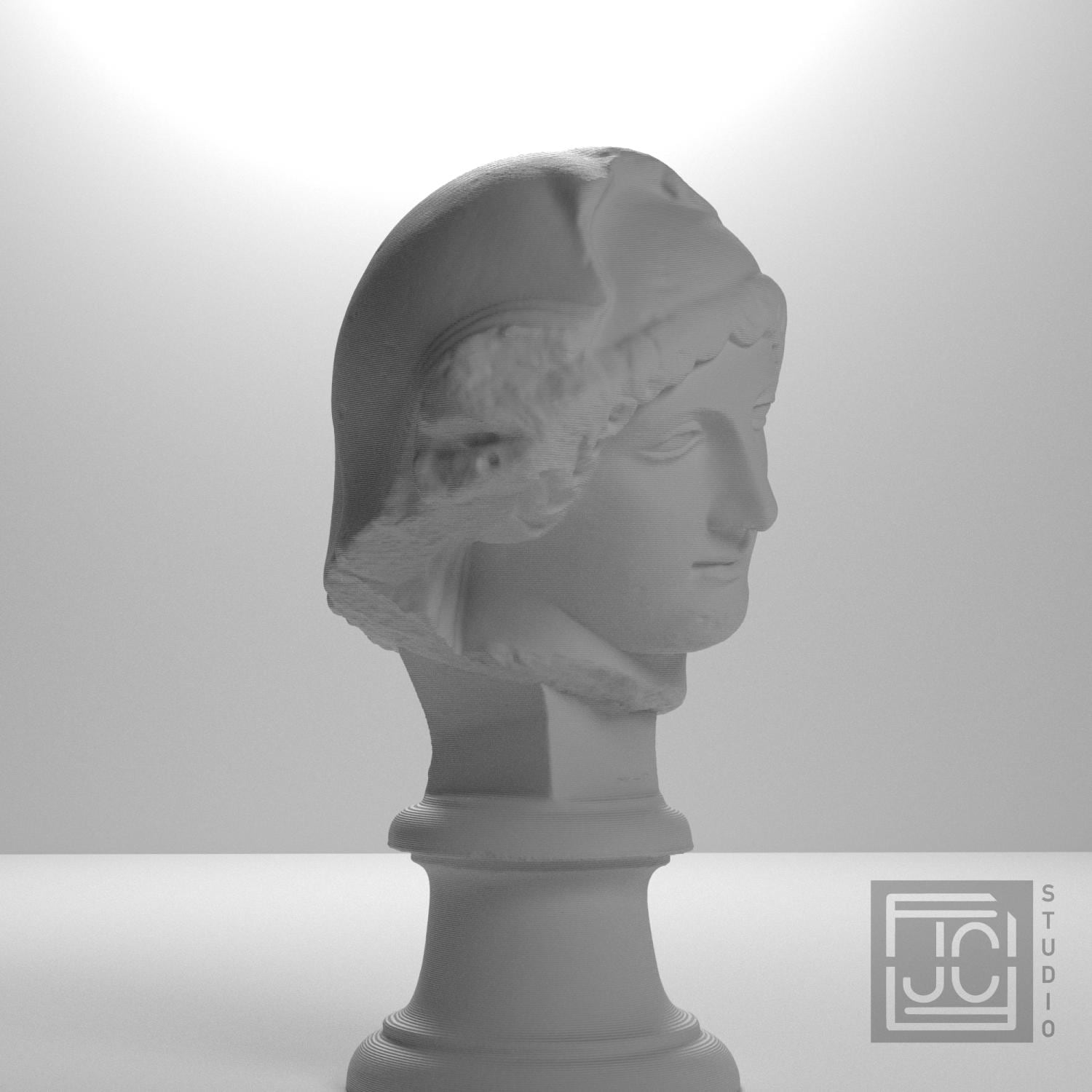 Head of the Mourning Penelope supplemental reference photo 6
