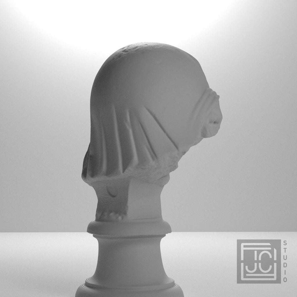 Head of the Mourning Penelope supplemental reference photo 8