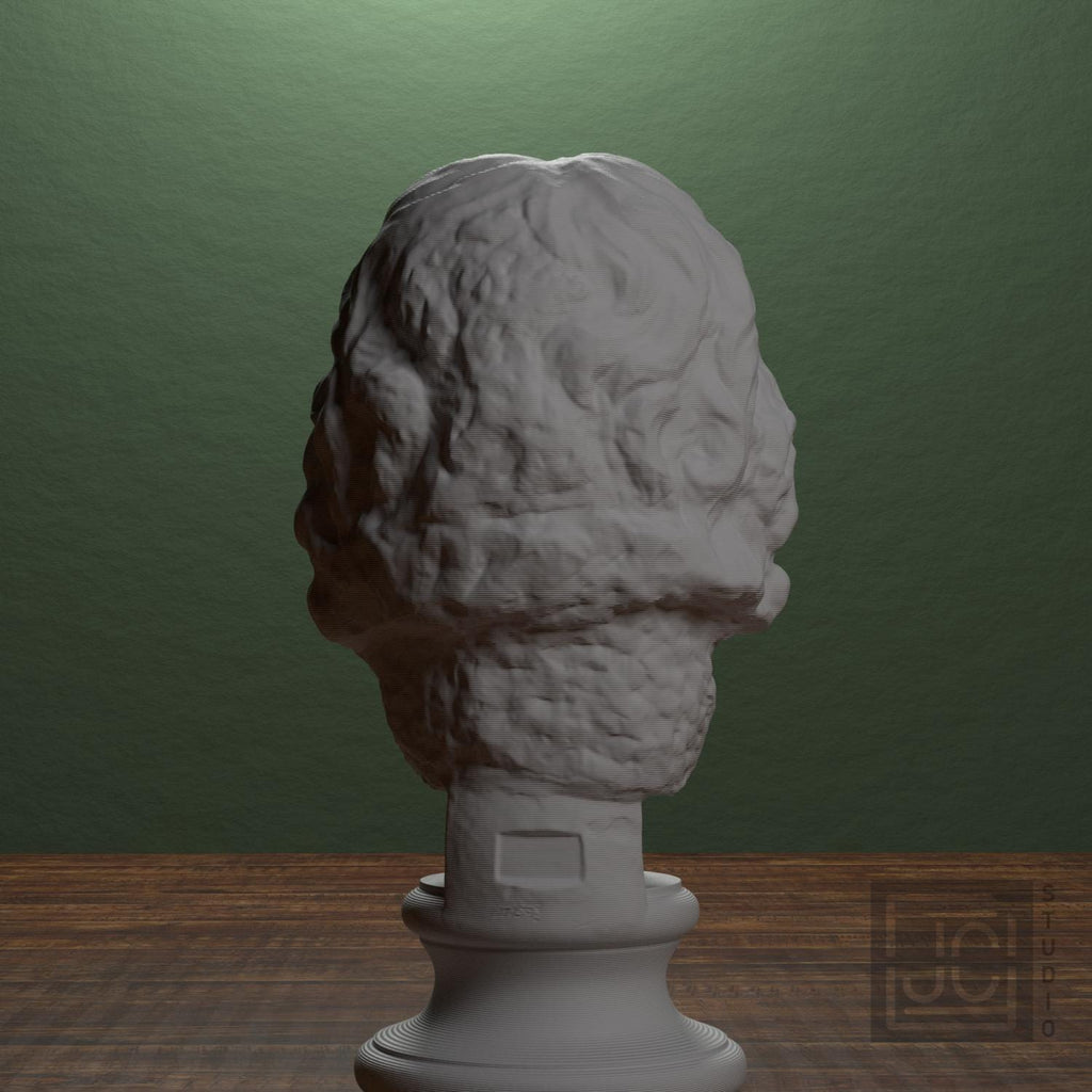 Head of a Barbarian Chief supplemental reference photo 3