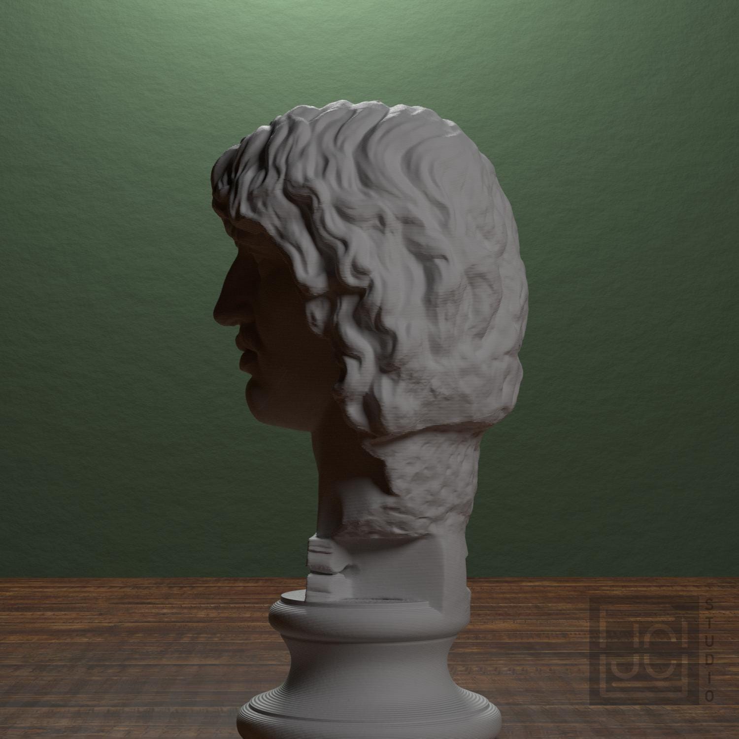 Head of a Barbarian Chief supplemental reference photo 4