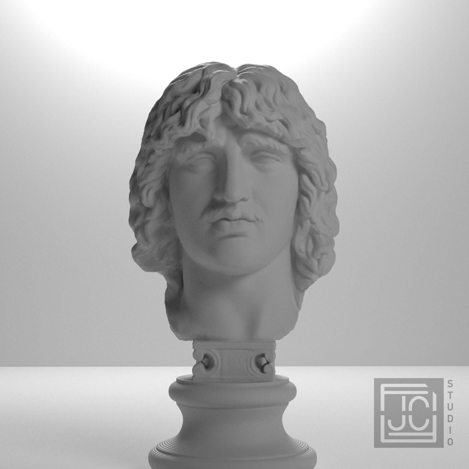 Head of a Barbarian Chief supplemental reference photo 5