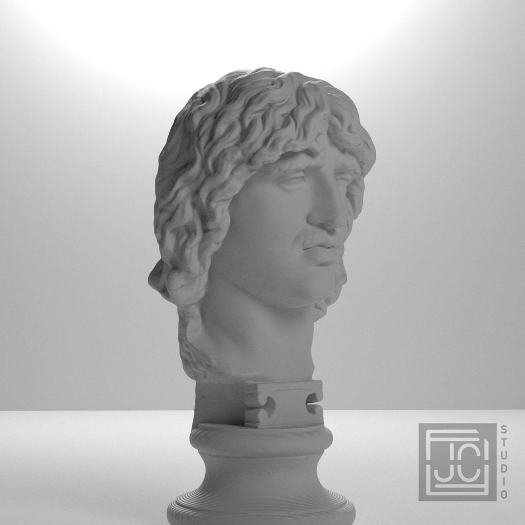 Head of a Barbarian Chief supplemental reference photo 6