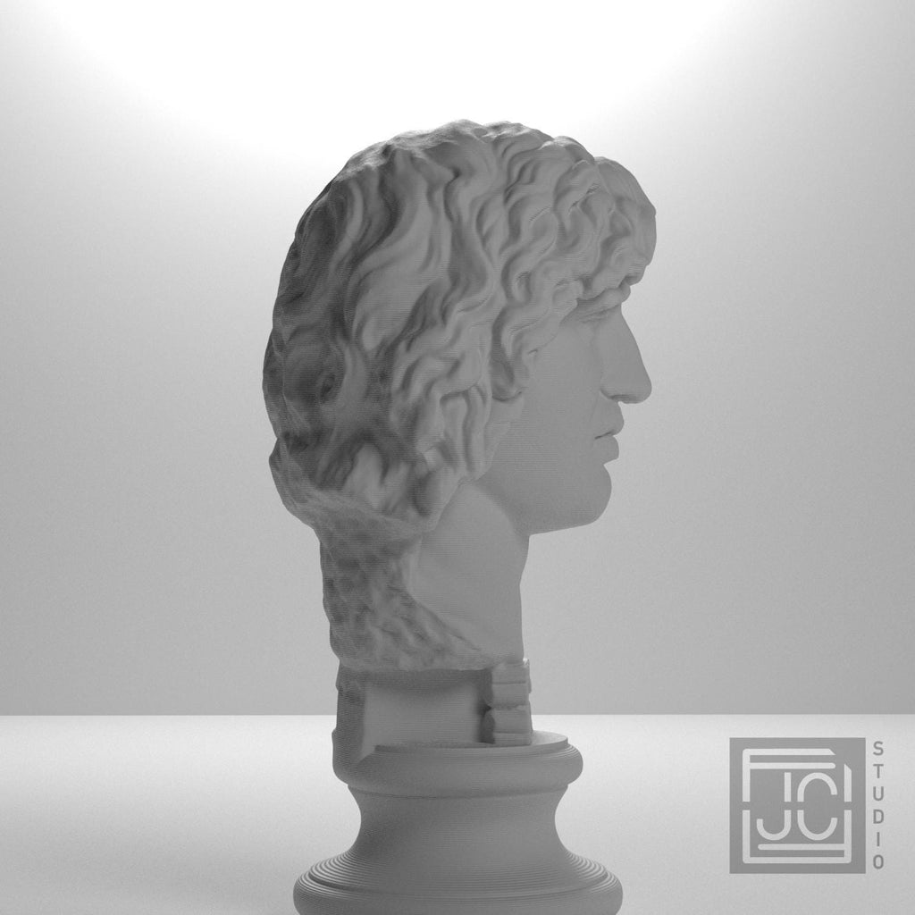 Head of a Barbarian Chief supplemental reference photo 7
