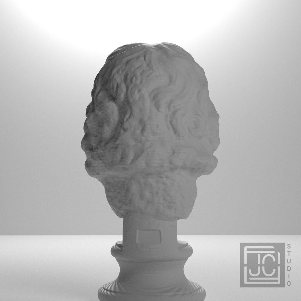 Head of a Barbarian Chief supplemental reference photo 9