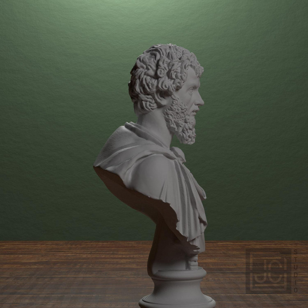 Portrait of Septimius Severus supplemental reference photo 2