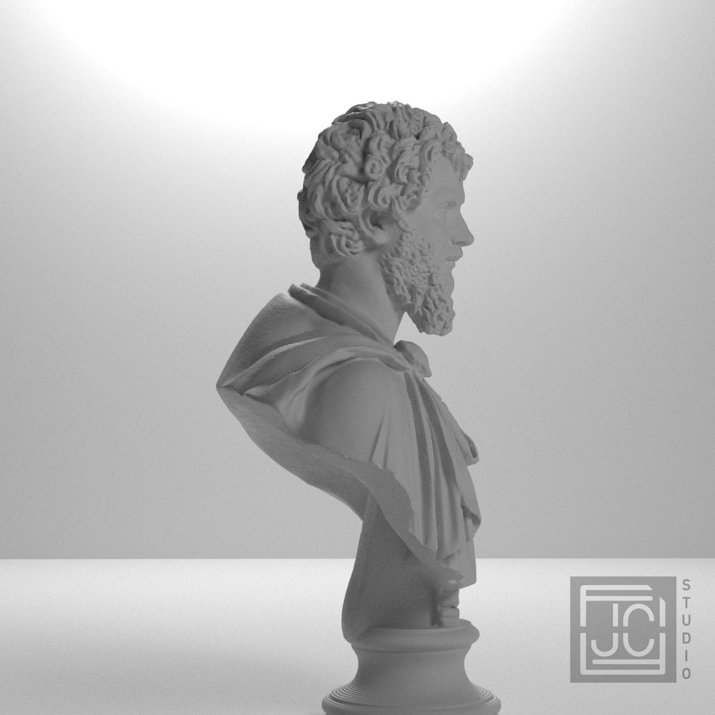 Portrait of Septimius Severus supplemental reference photo 7
