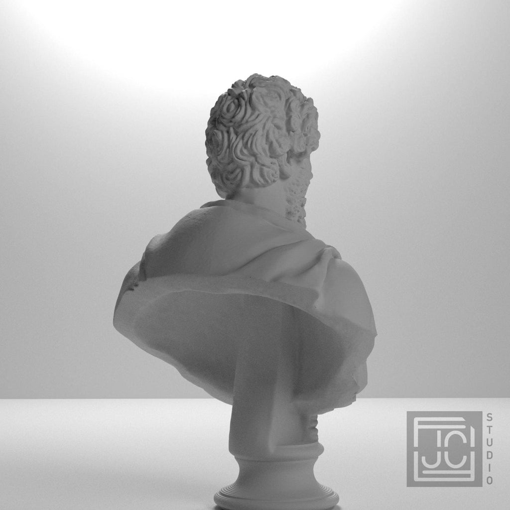 Portrait of Septimius Severus supplemental reference photo 8
