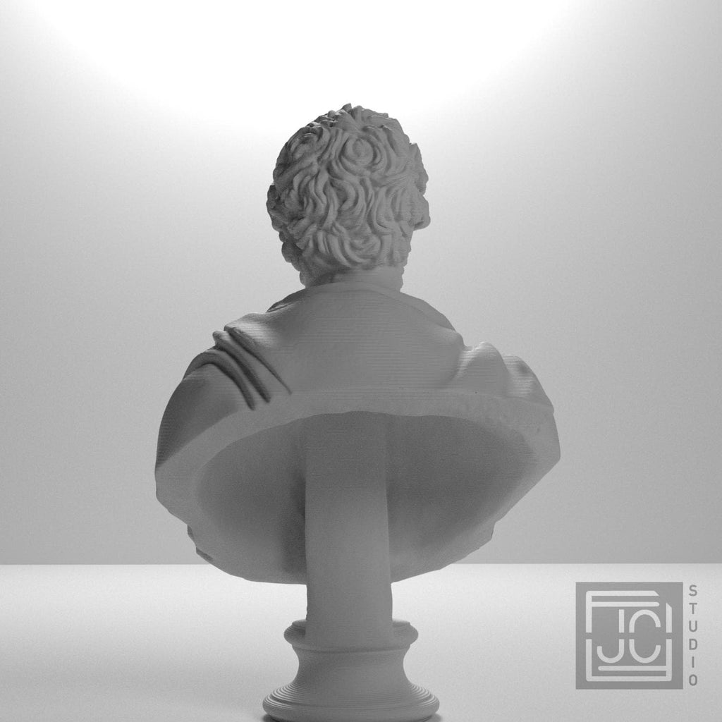 Portrait of Septimius Severus supplemental reference photo 9