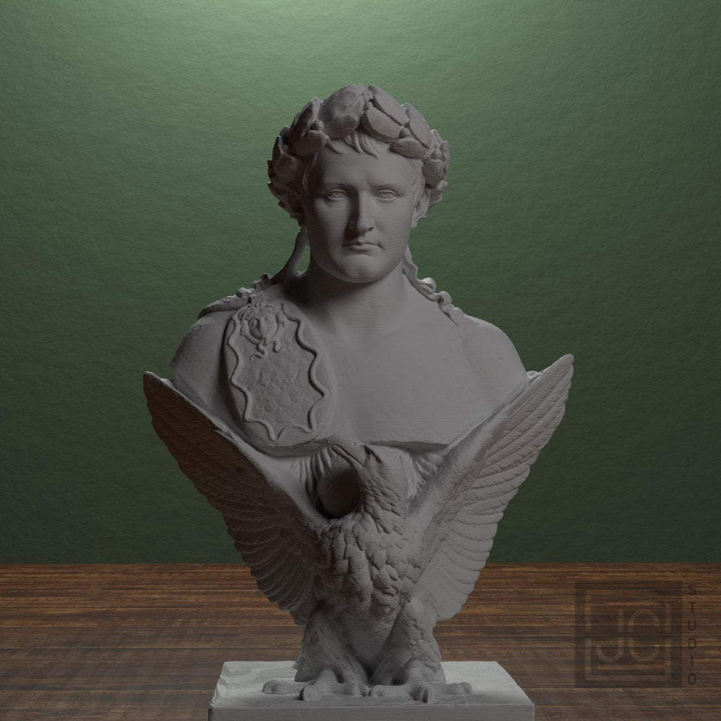 Napoleon Bonaparte supplemental reference photo 1