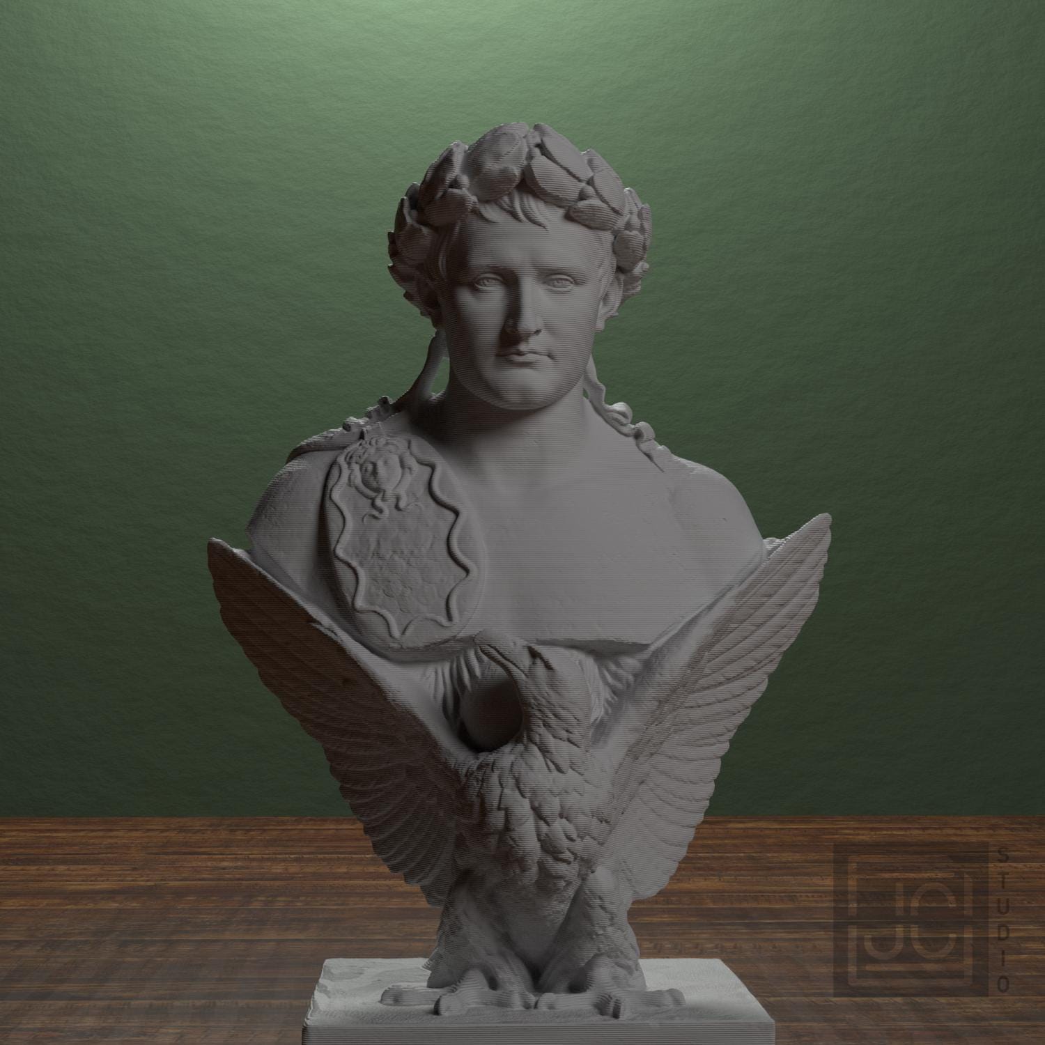 Napoleon Bonaparte supplemental reference photo 1