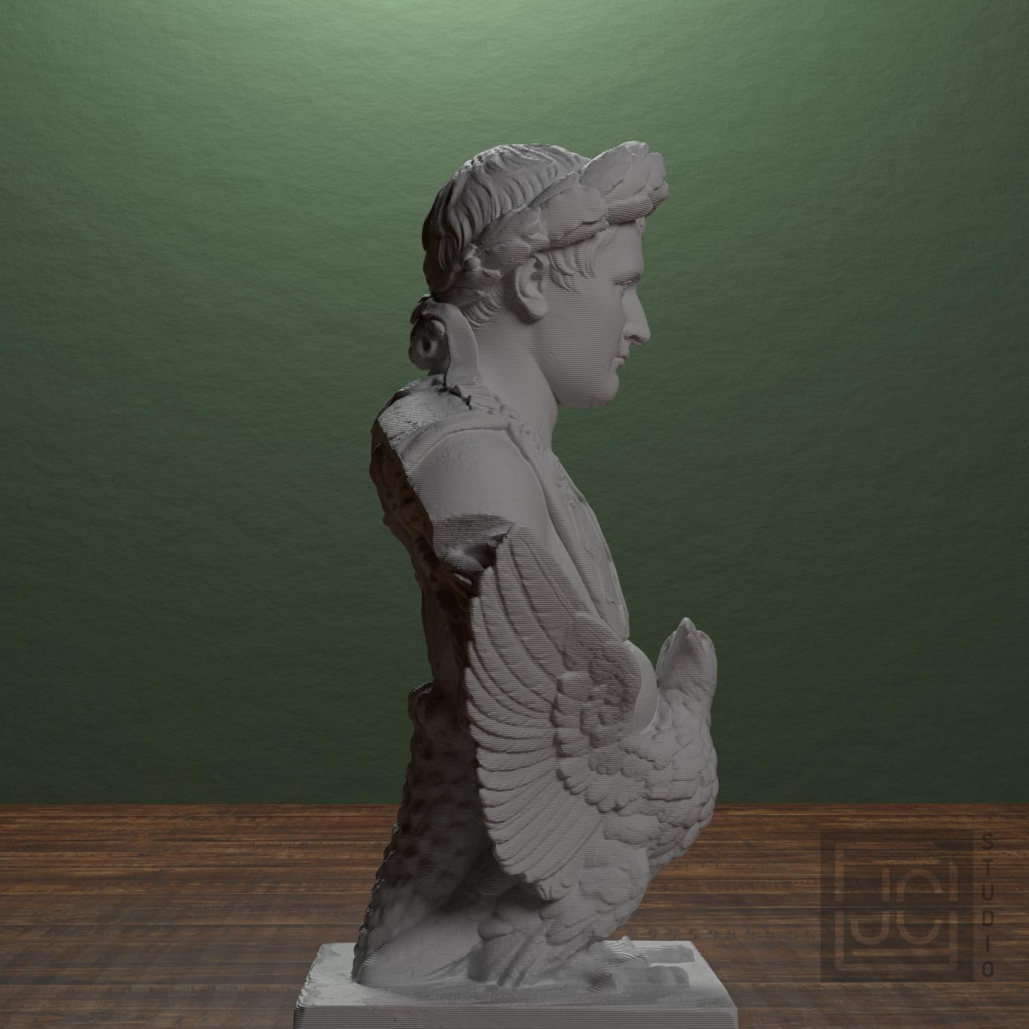 Napoleon Bonaparte supplemental reference photo 2
