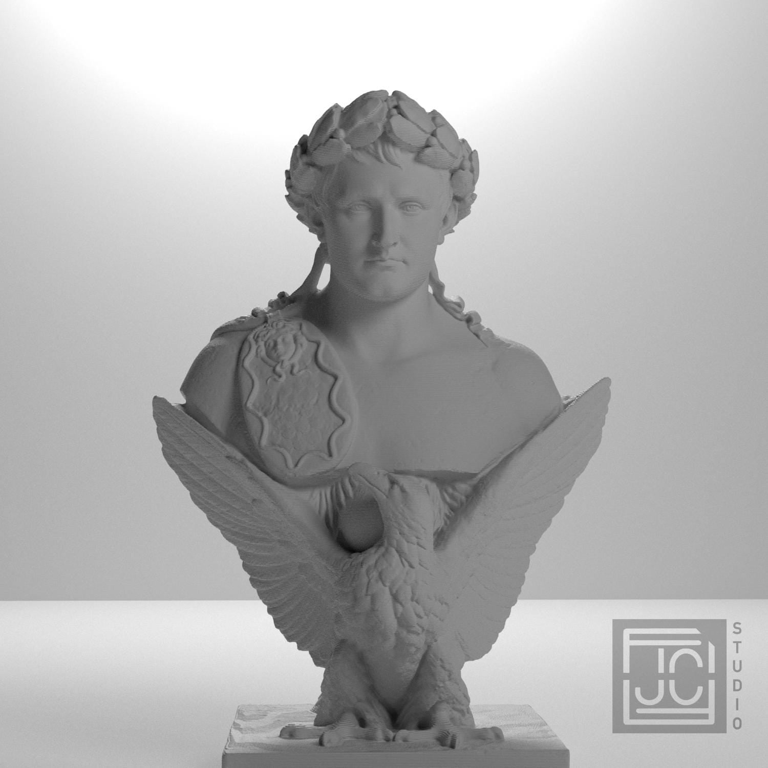 Napoleon Bonaparte supplemental reference photo 5