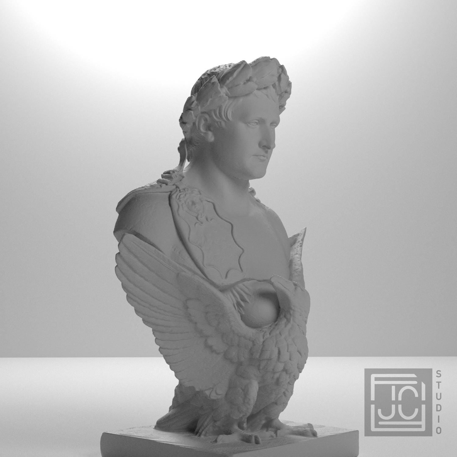 Napoleon Bonaparte supplemental reference photo 6