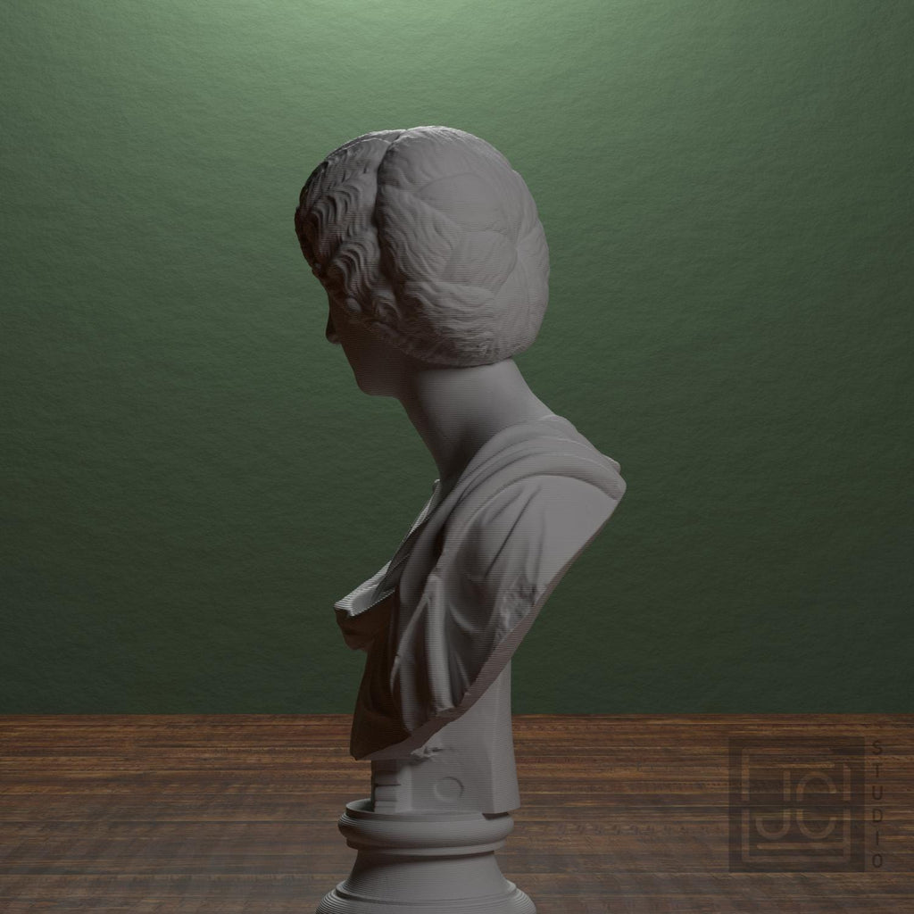 Portrait of a noble lady supplemental reference photo 4