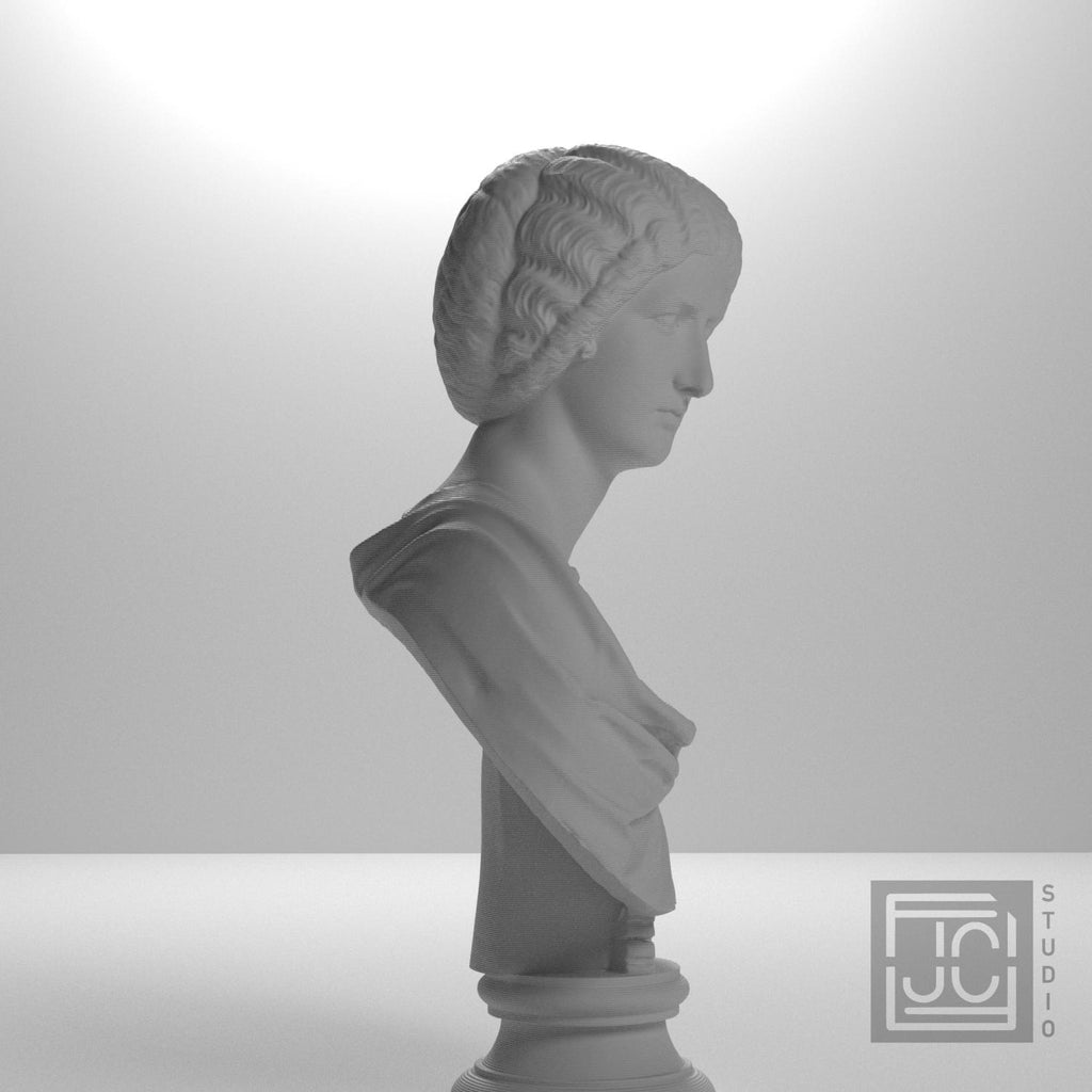 Portrait of a noble lady supplemental reference photo 7