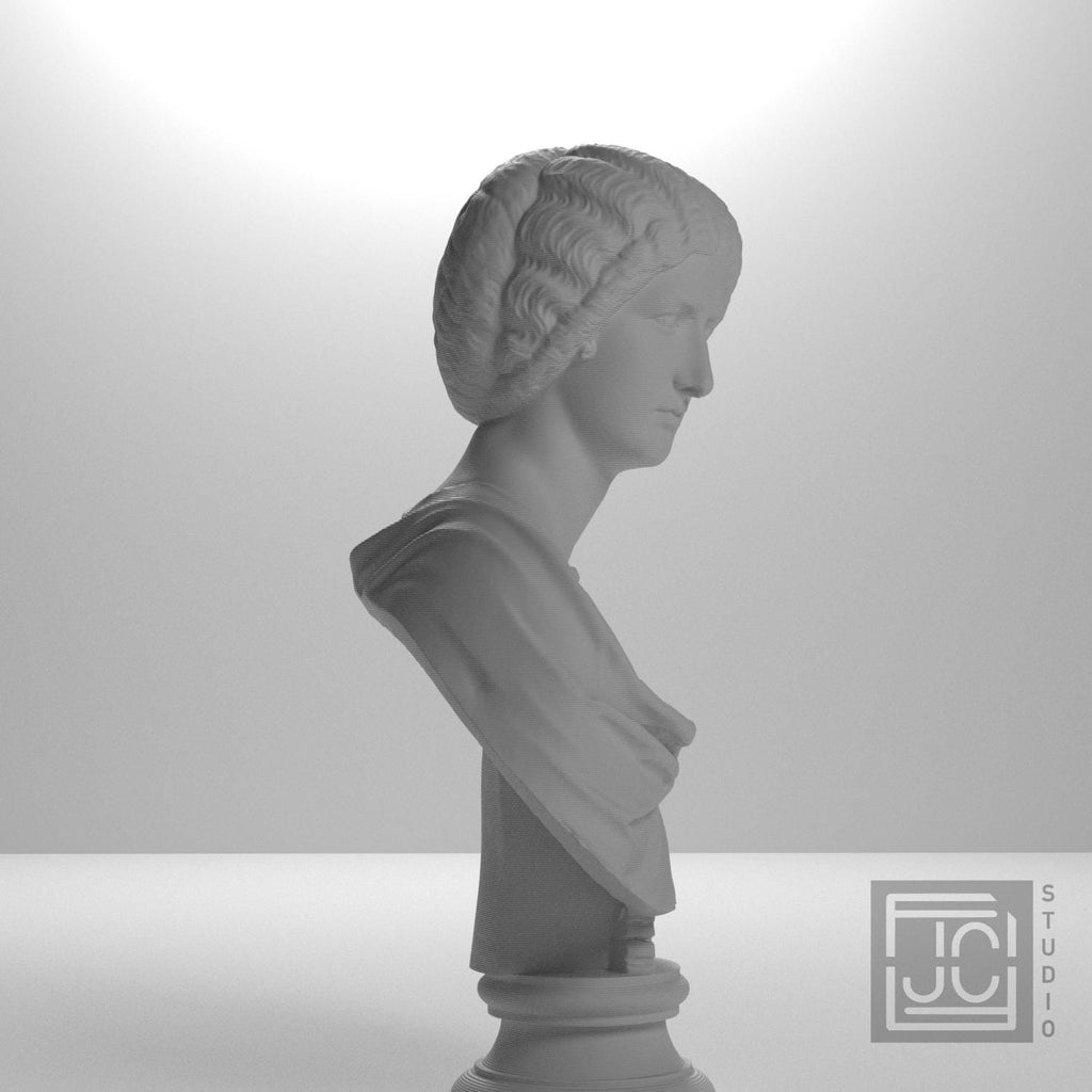 Portrait of a noble lady supplemental reference photo 7