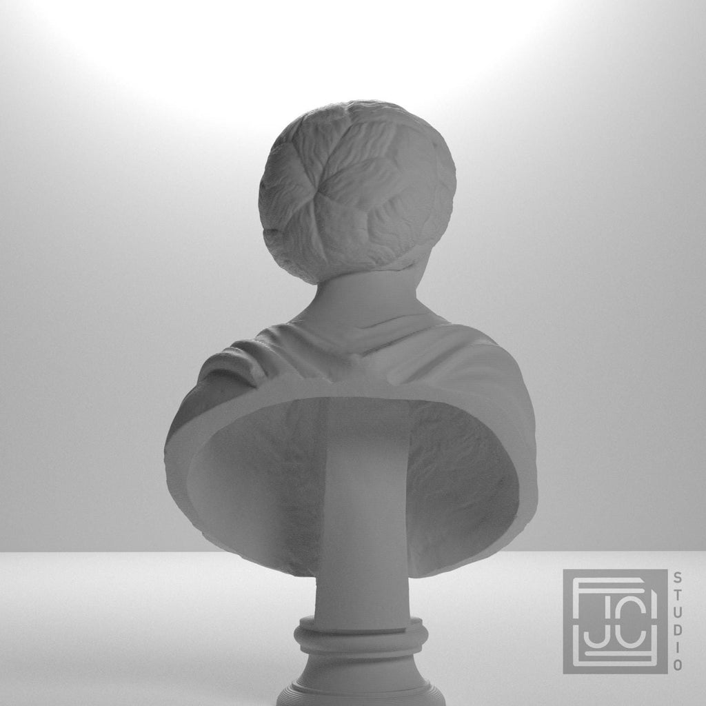 Portrait of a noble lady supplemental reference photo 9