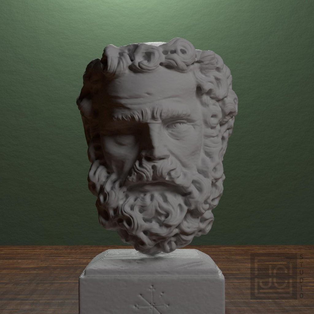 Head of a Bearded Man supplemental reference photo 1
