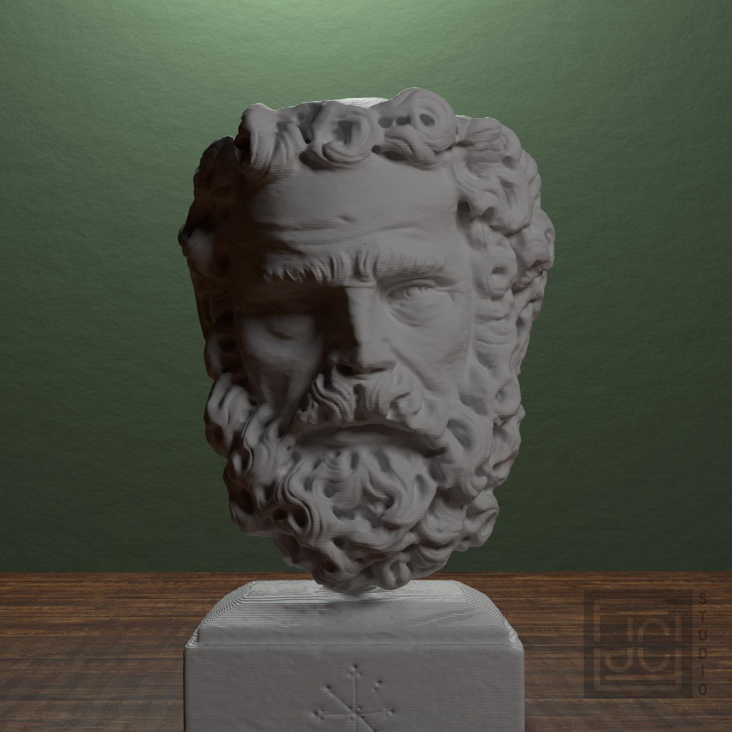 Head of a Bearded Man supplemental reference photo 1