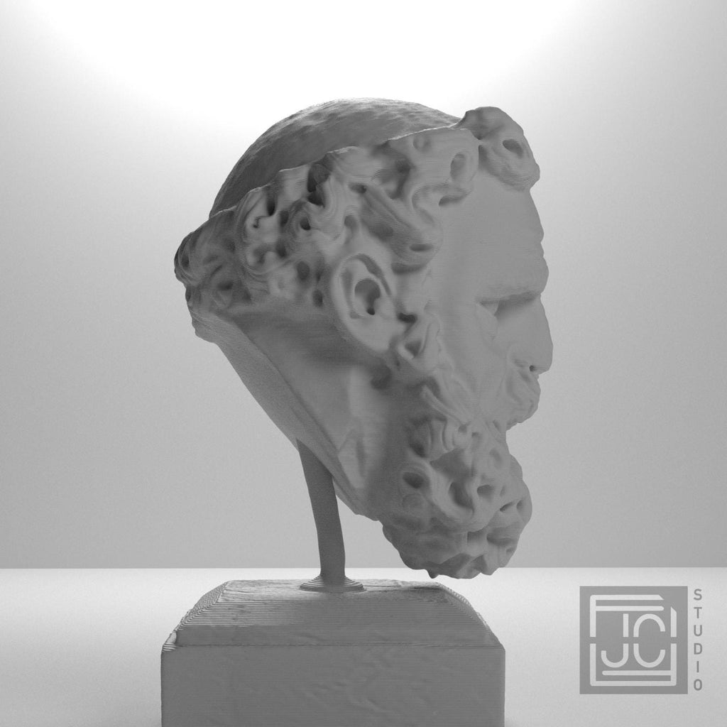Head of a Bearded Man supplemental reference photo 7