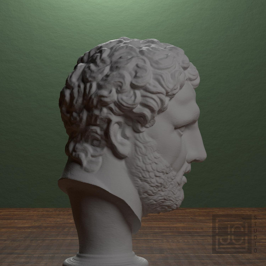 Head supplemental reference photo 2