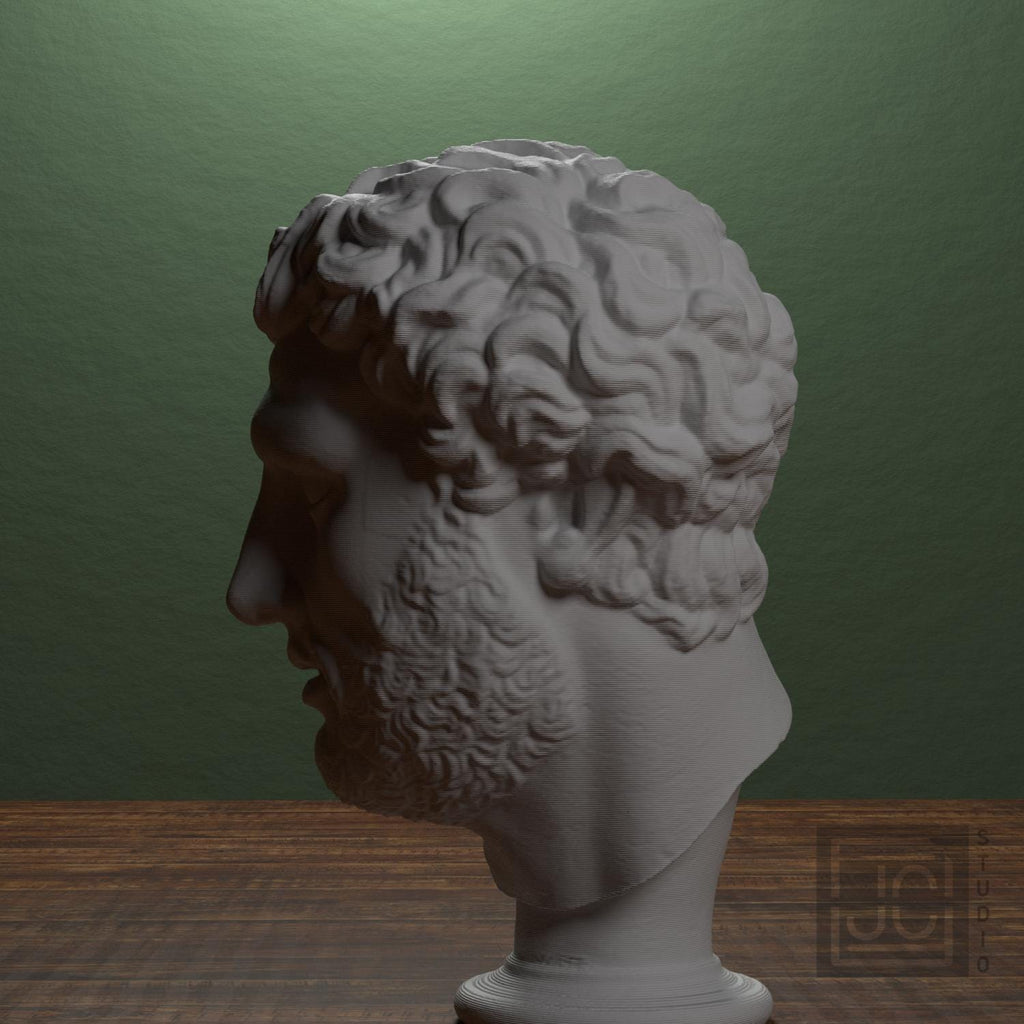 Head supplemental reference photo 4