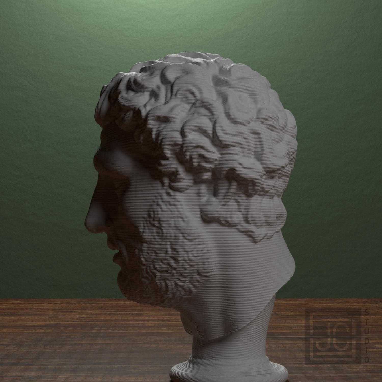Head supplemental reference photo 4