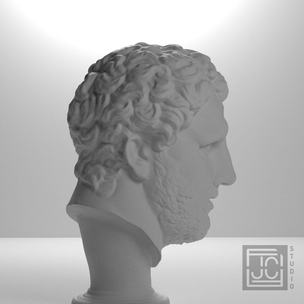 Head supplemental reference photo 7