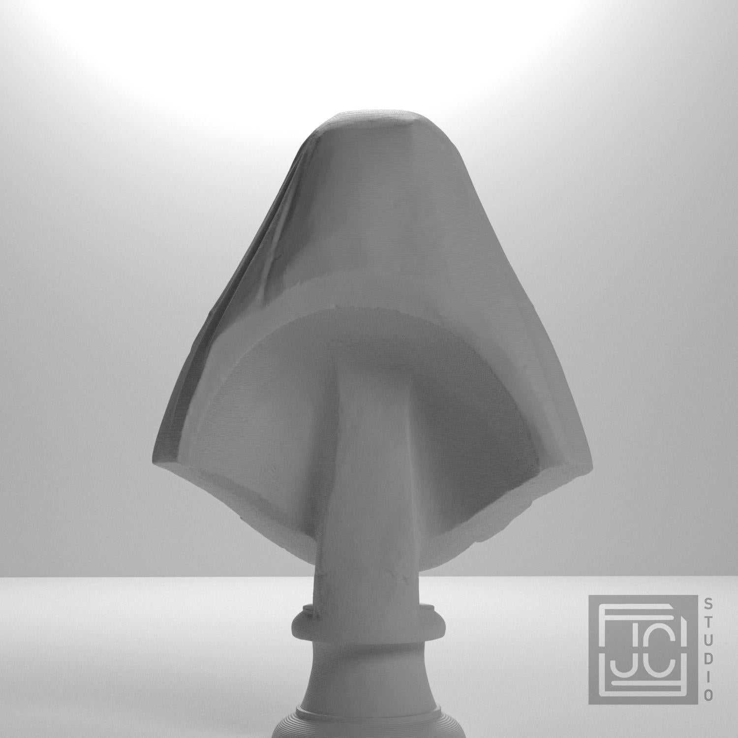 Bust of Camilla Barbadori supplemental reference photo 9