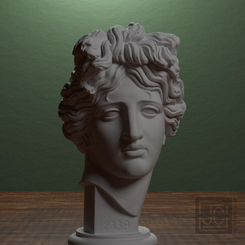 Apollo Giustiniani supplemental reference photo 1