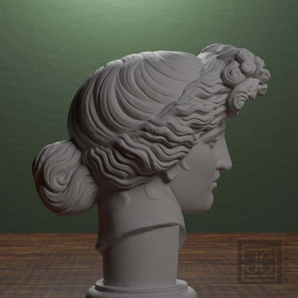 Apollo Giustiniani supplemental reference photo 2