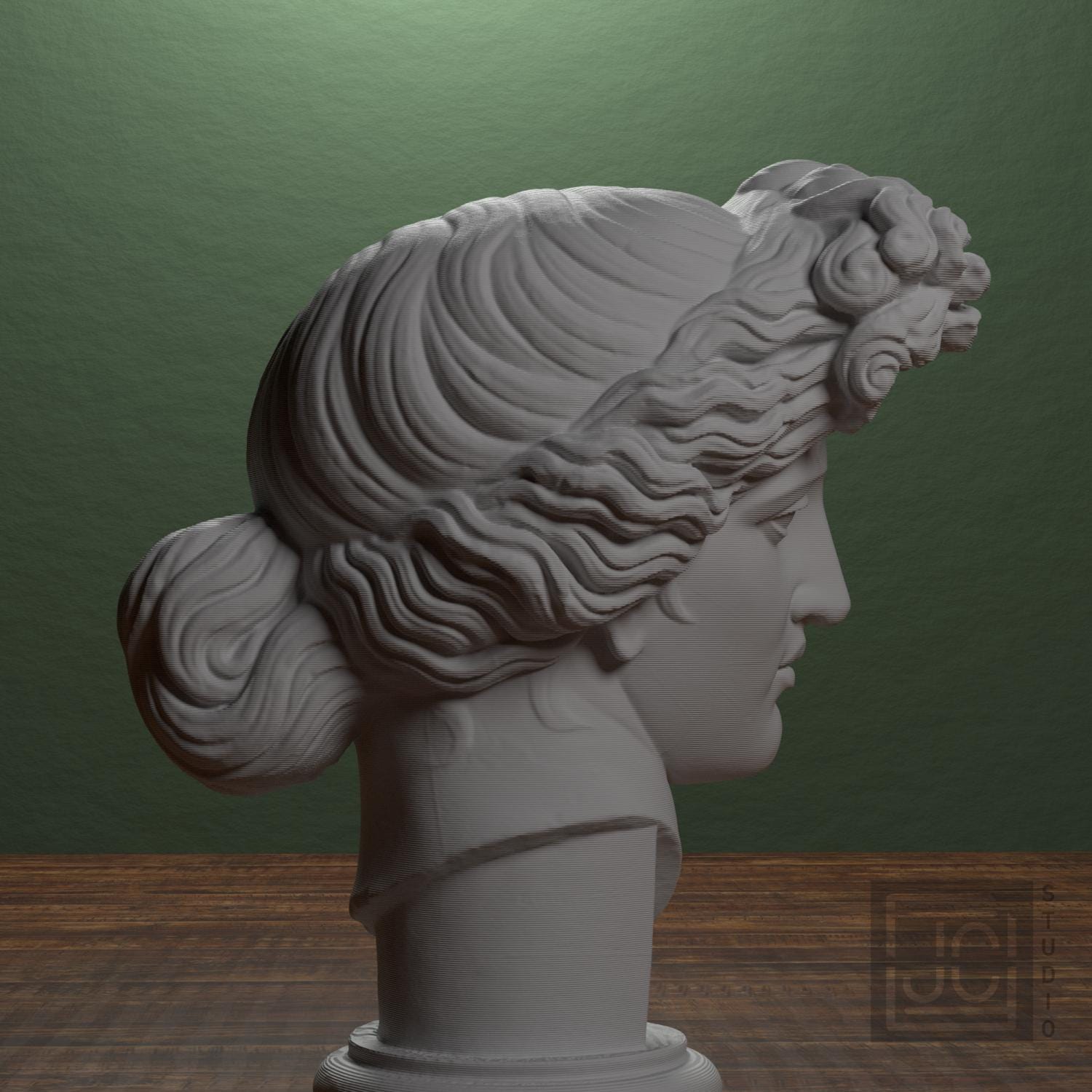 Apollo Giustiniani supplemental reference photo 2
