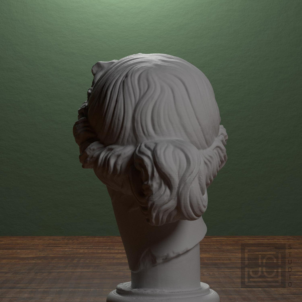 Apollo Giustiniani supplemental reference photo 3