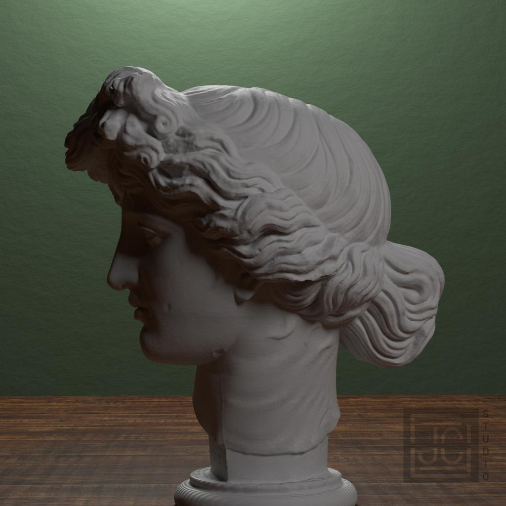Apollo Giustiniani supplemental reference photo 4