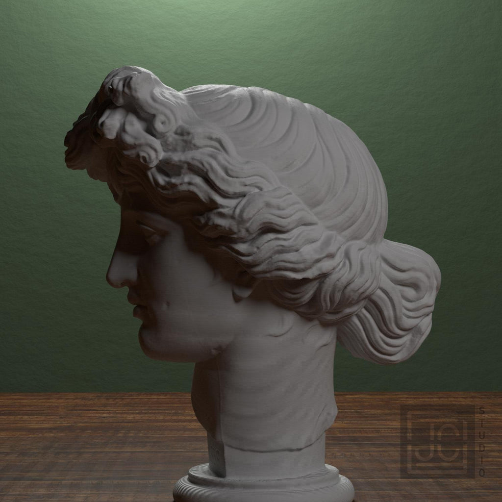 Apollo Giustiniani supplemental reference photo 4