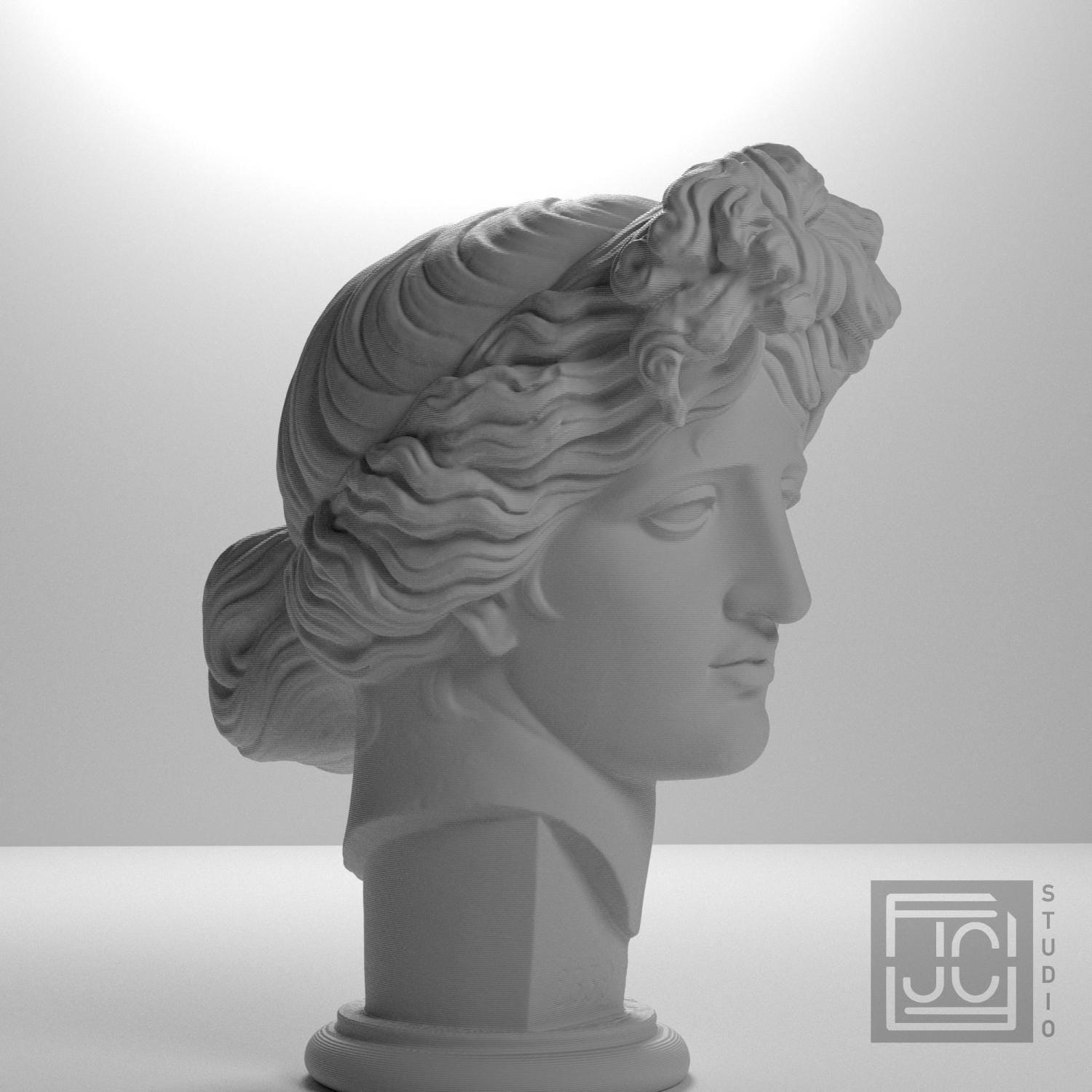 Apollo Giustiniani supplemental reference photo 6