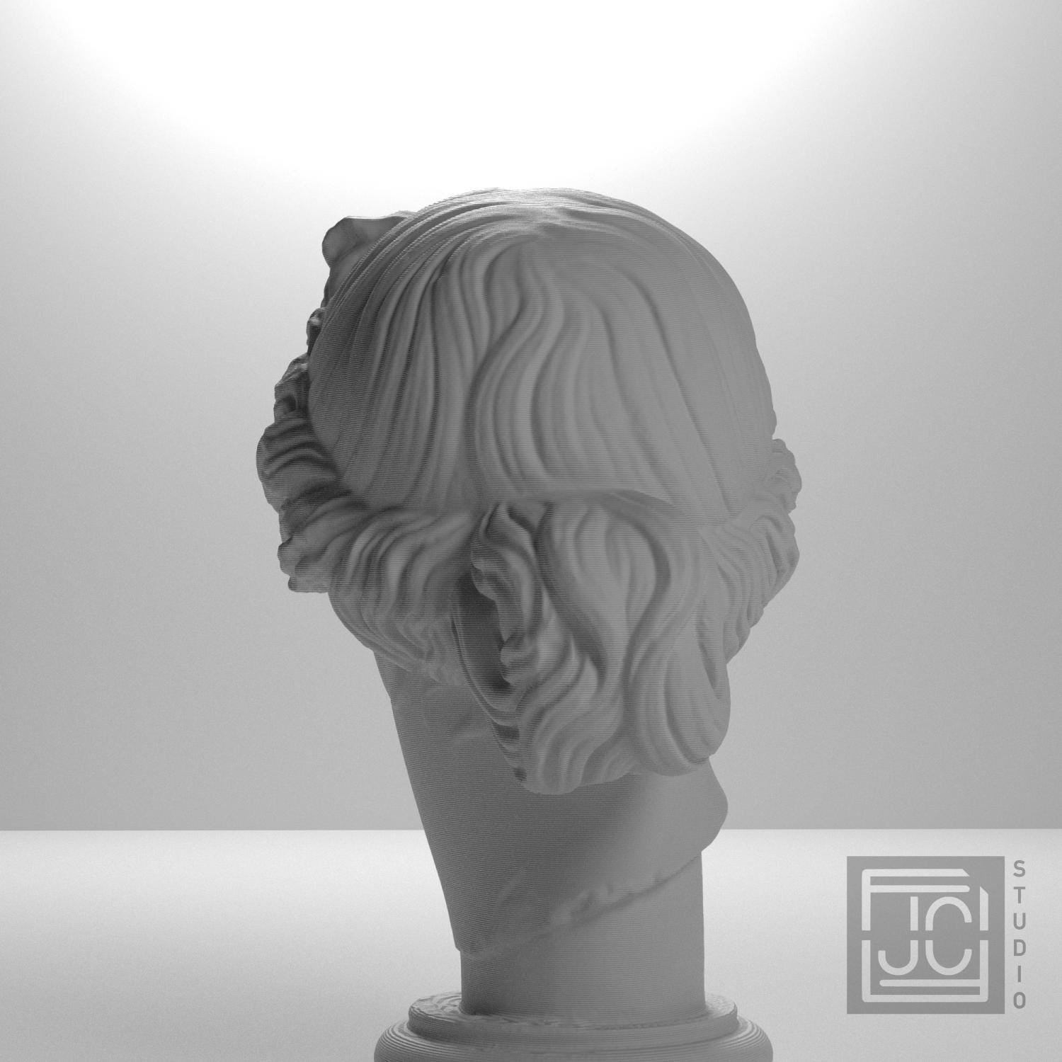 Apollo Giustiniani supplemental reference photo 9