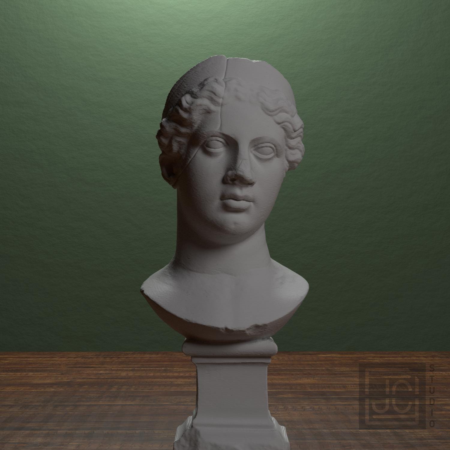 Juno supplemental reference photo 1