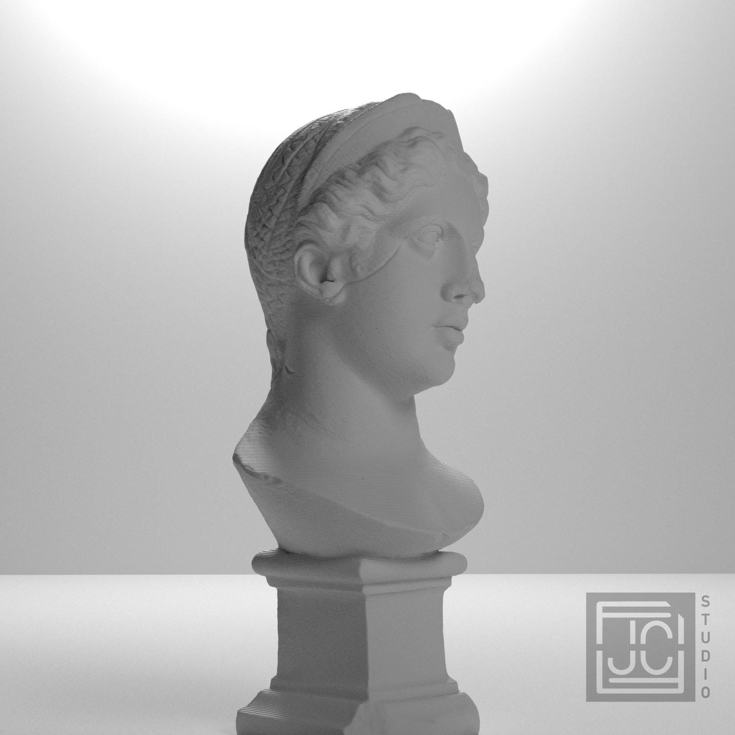 Juno supplemental reference photo 6