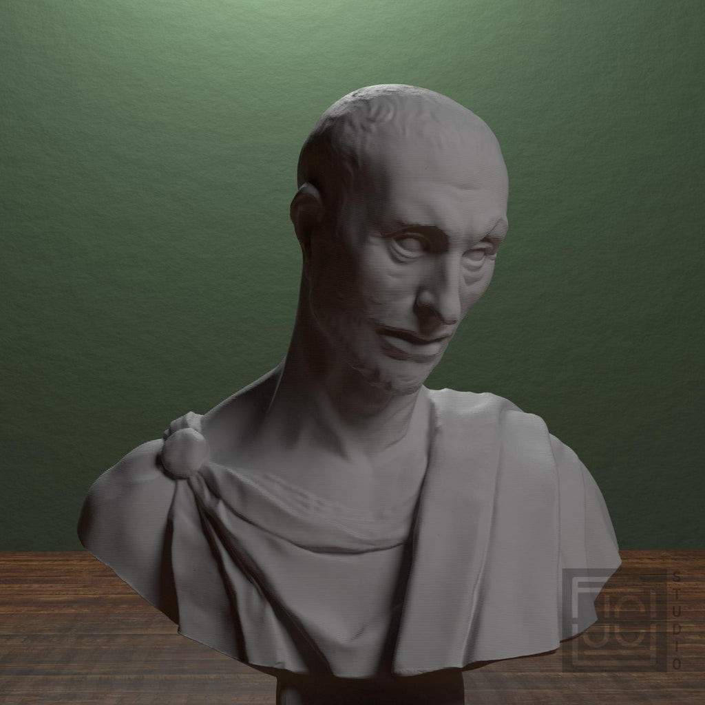 Bust supplemental reference photo 1