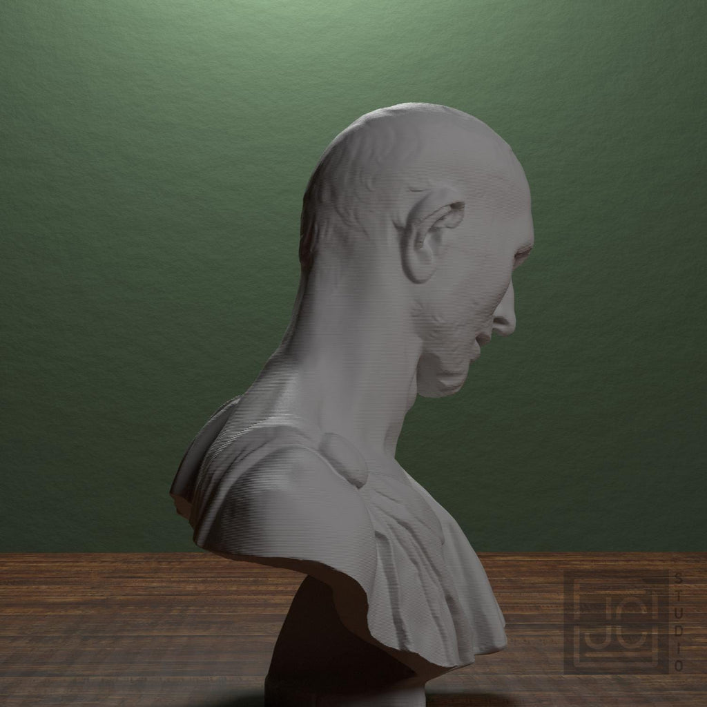 Bust supplemental reference photo 2