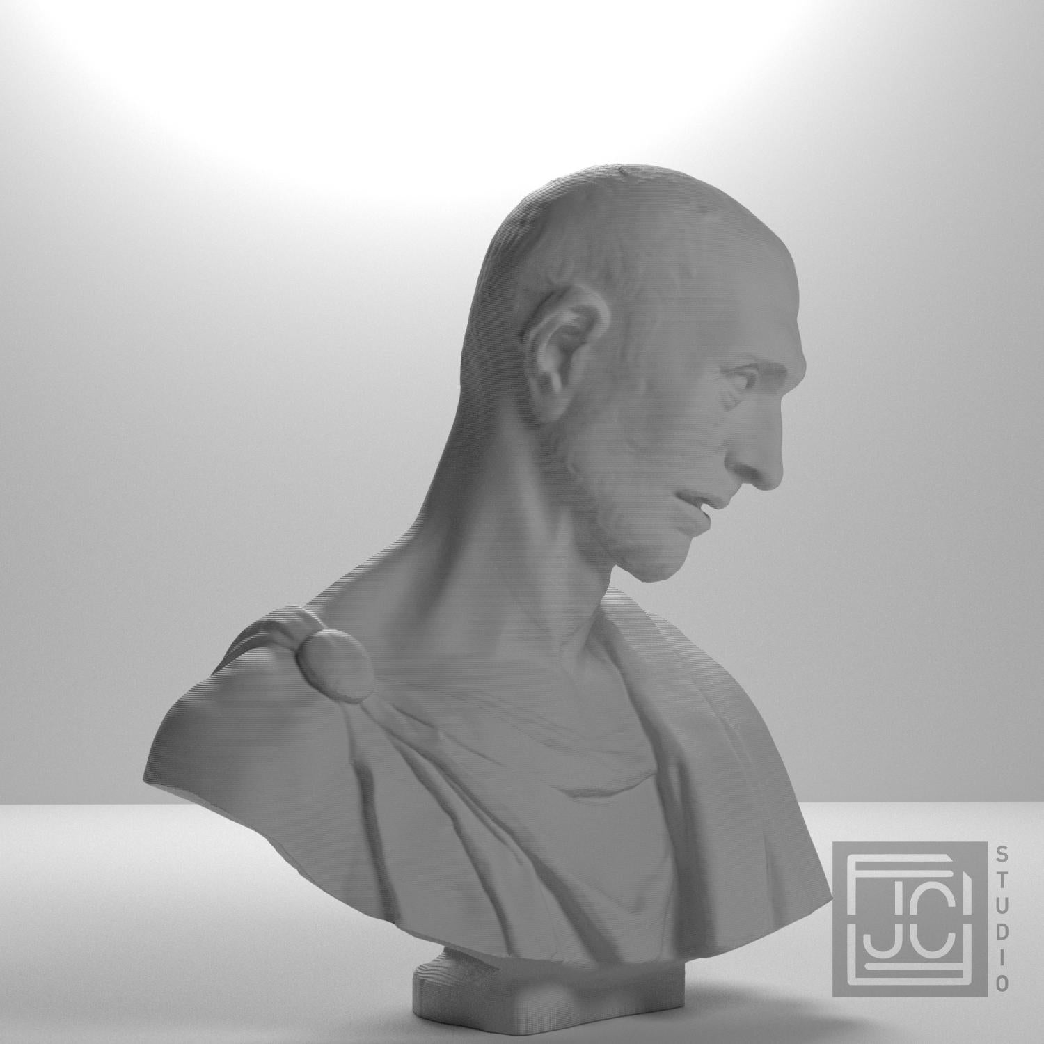 Bust supplemental reference photo 6
