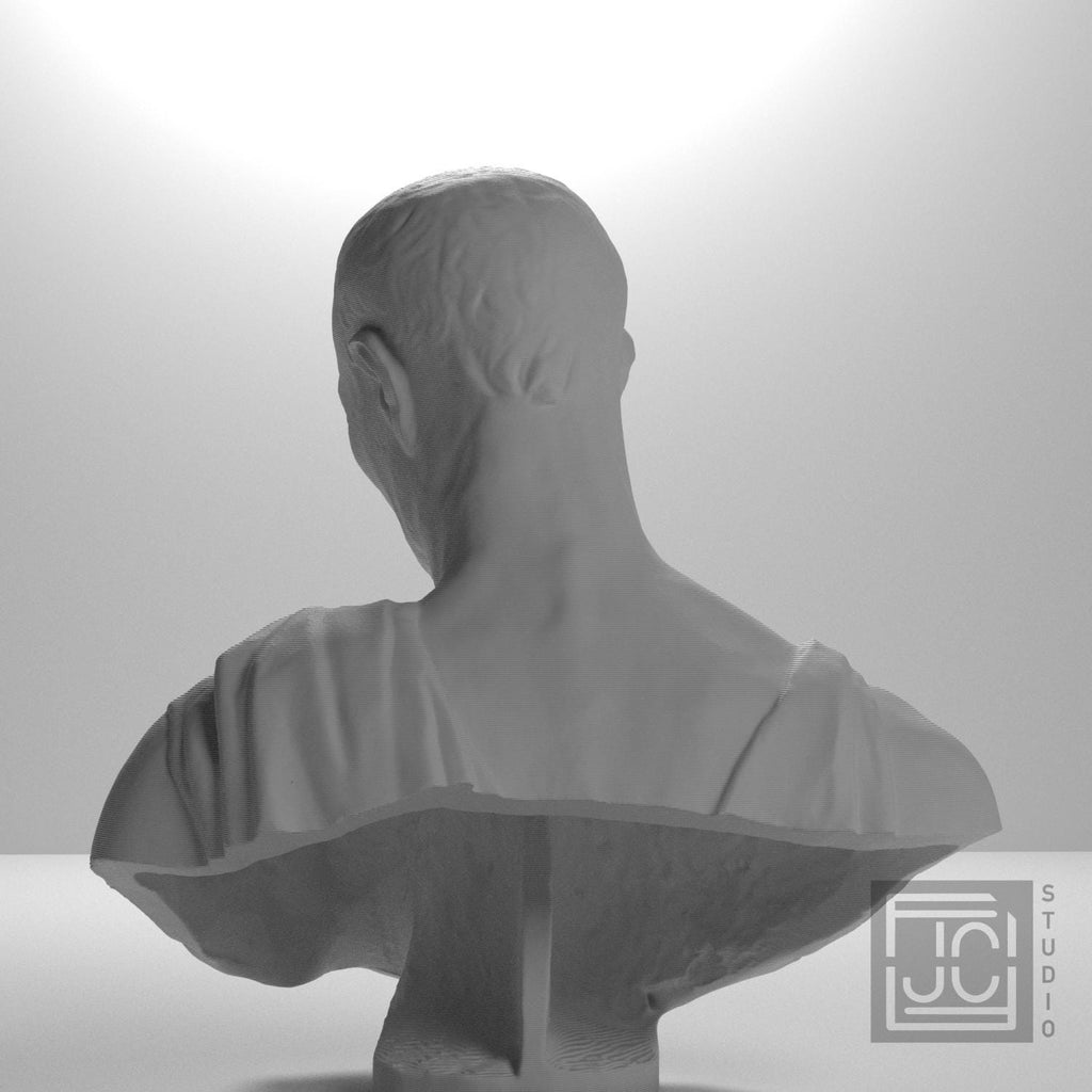 Bust supplemental reference photo 9