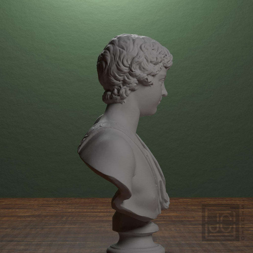 Portrait of Caracalla as a young man supplemental reference photo 2